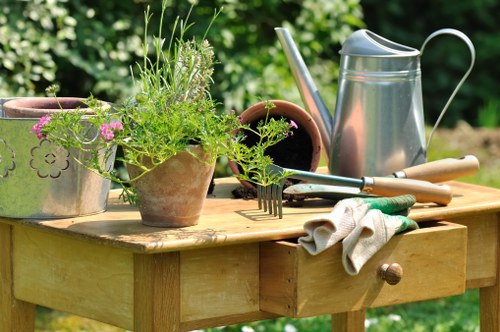 Seasonal lawn maintenance in Sidcup