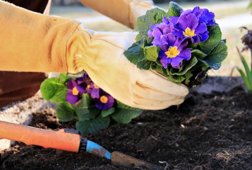 Garden maintenance team reviewing a service schedule
