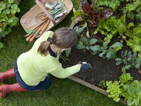 Happy customers enjoying their maintained Sidcup garden