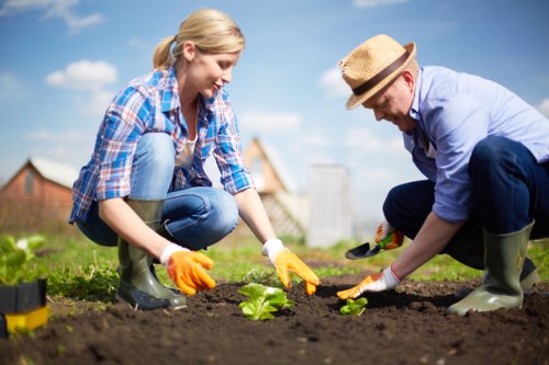 Eco-friendly lawn care practices